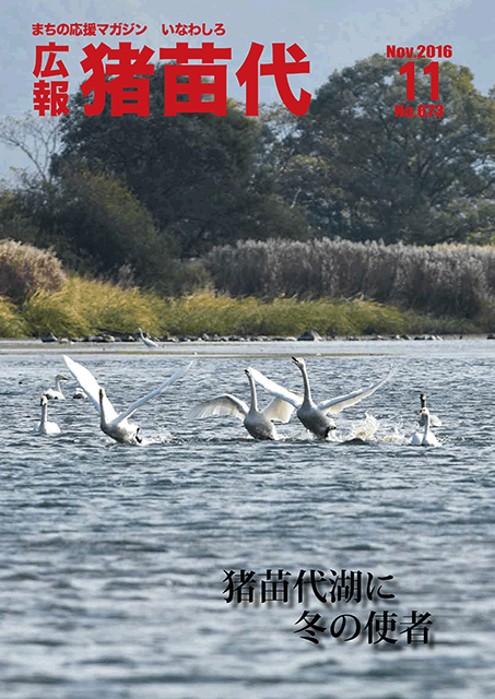 28年11月号.gif