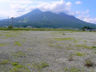 現況写真1