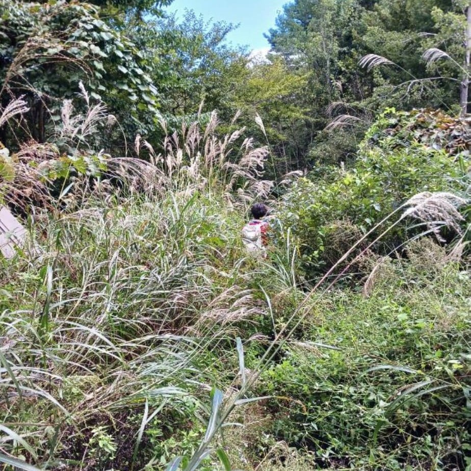 渋谷登山口の写真2