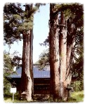 猪苗代町の文化財3