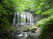 夏の達沢不動滝（1）