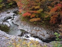 中津川渓谷の紅葉（1）