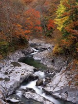 中津川渓谷の紅葉（2）