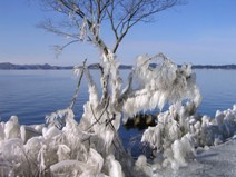 しぶき氷（3）