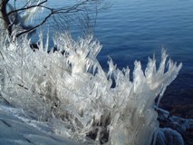 しぶき氷（4）