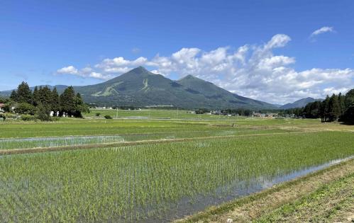 長瀬地区の棚田の写真