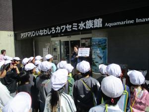 カワセミ水族館見学