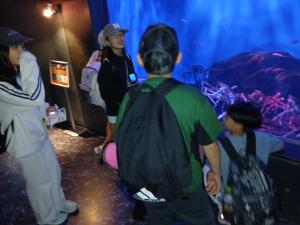 うみの杜水族館２