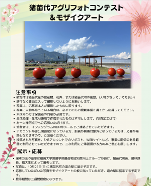 チラシ2